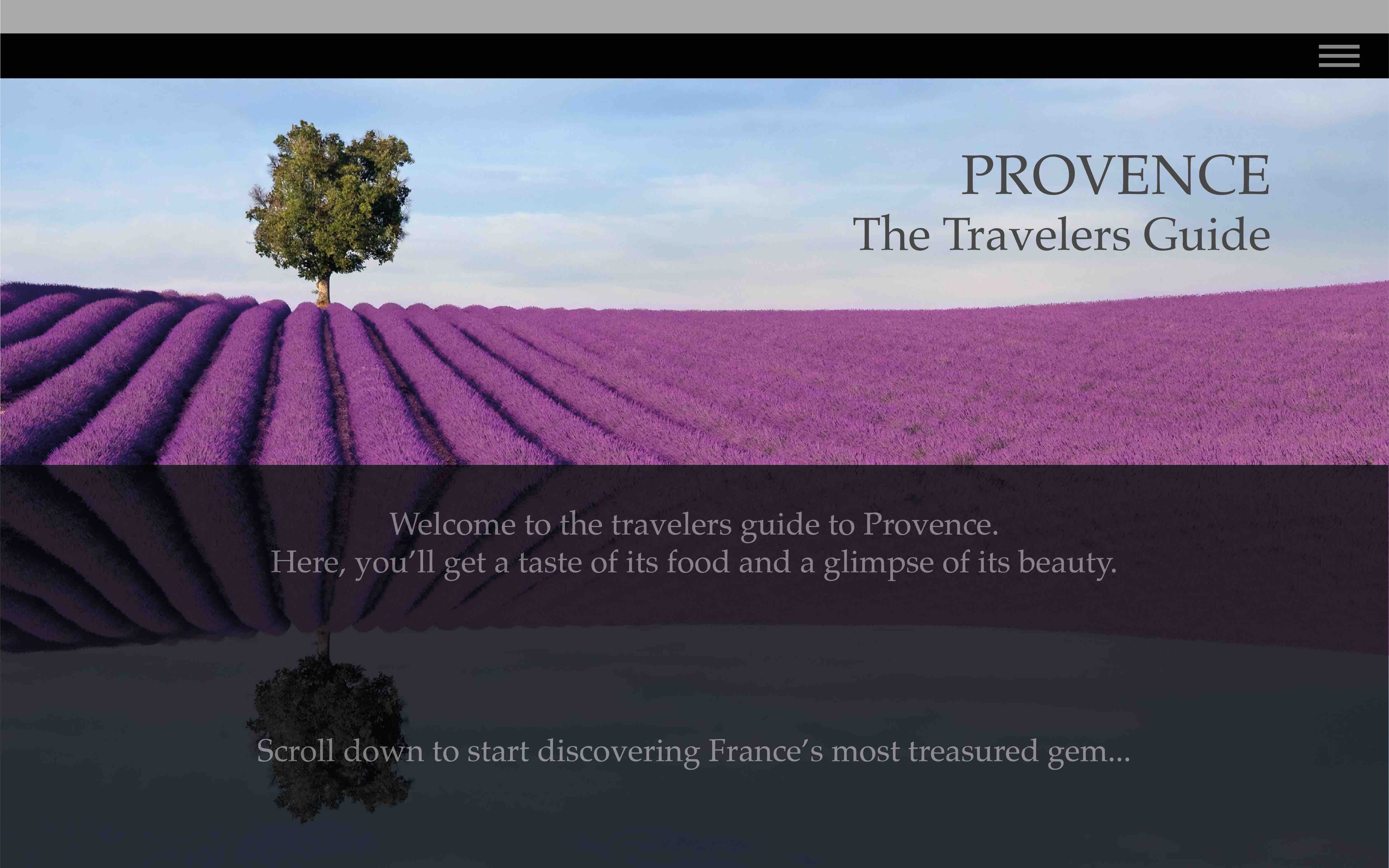 Provence Homepage Design